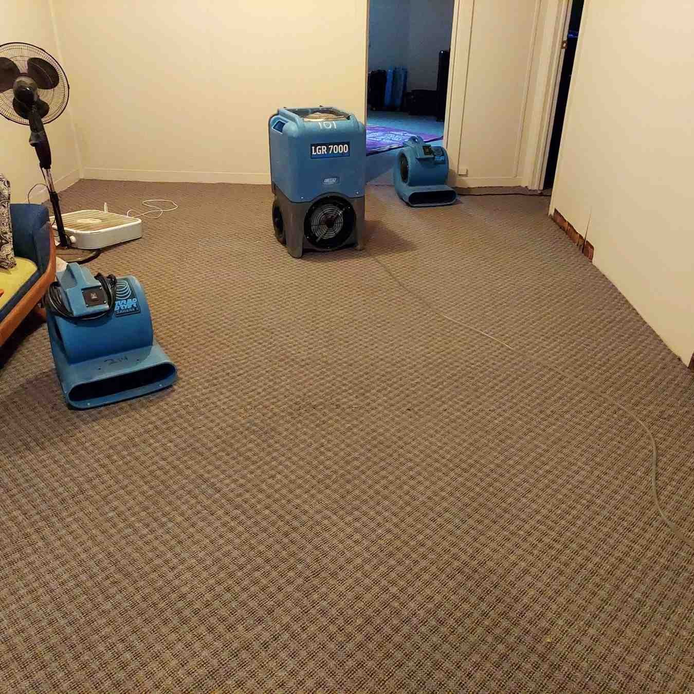 Carpet Cleaning Services in Centennial