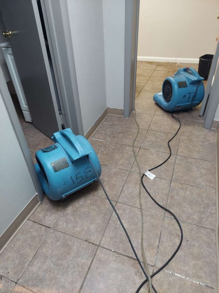 Emergency Carpet Cleaning 2