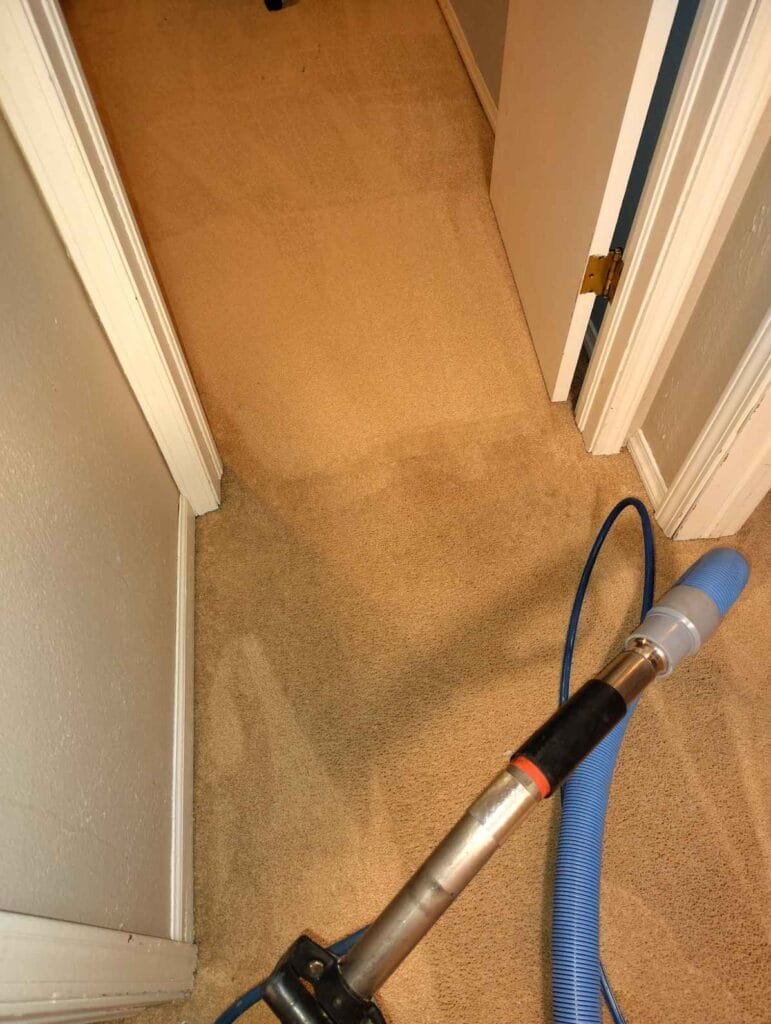 Mold Damage Cleanup 3