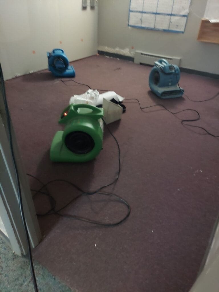 Carpet Cleaning & Water Restoration Palmer Lake