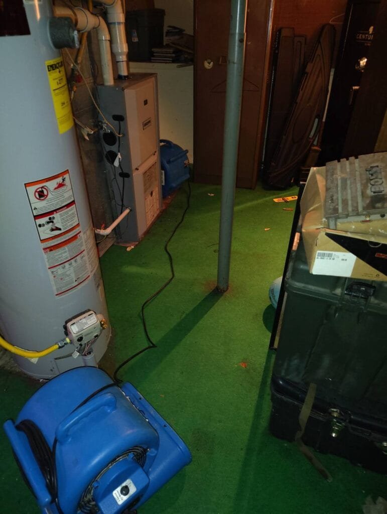 Deep Carpet Cleaning & Water Restoration in Monument, CO