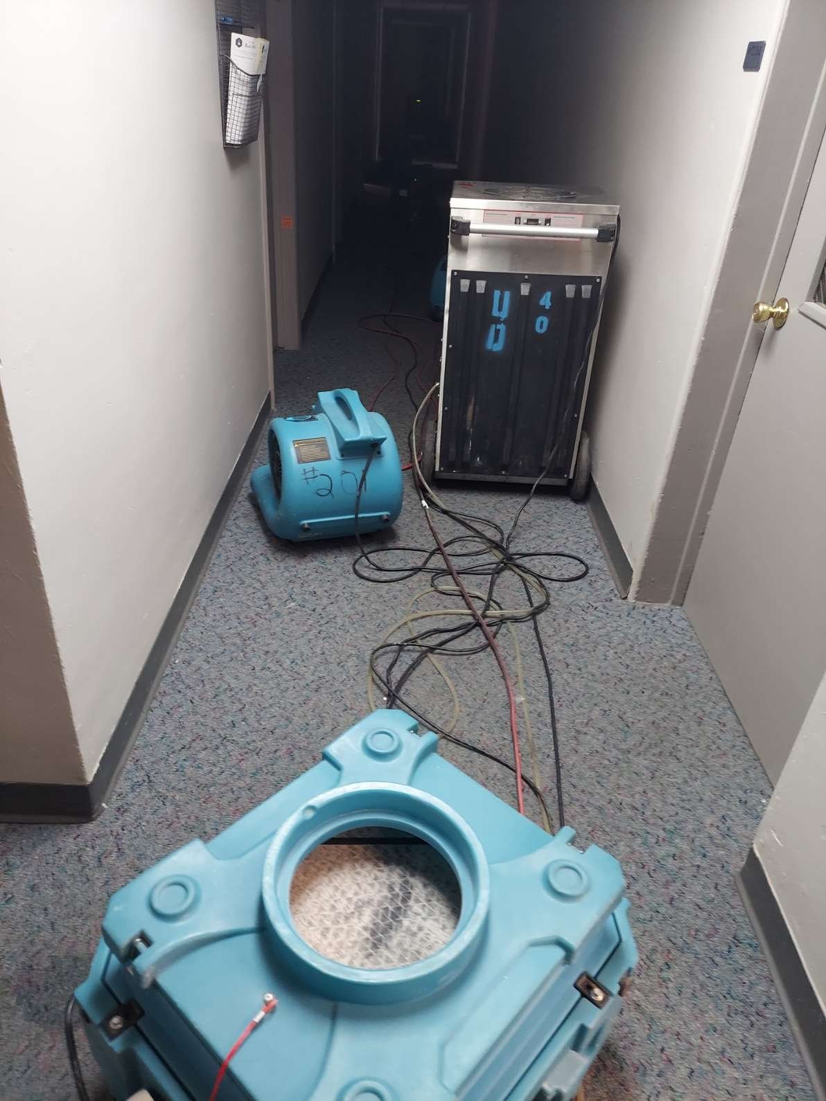 Carpet Cleaning Colorado Springs, CO
