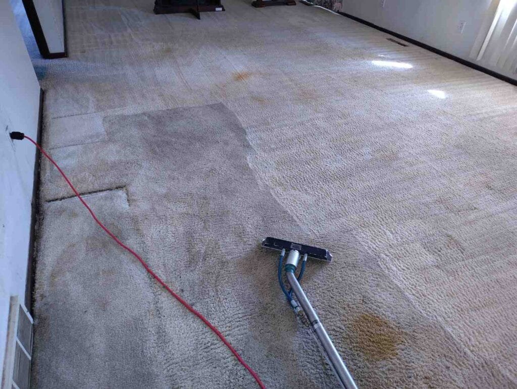 Carpet Cleaning Services in Centennial