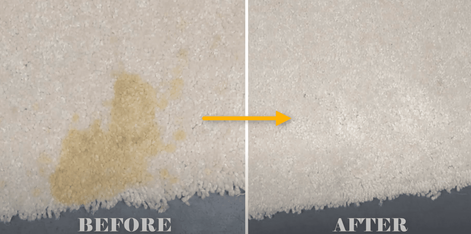 Carpet Cleaning amp Water Restoration Palmer Lake 1