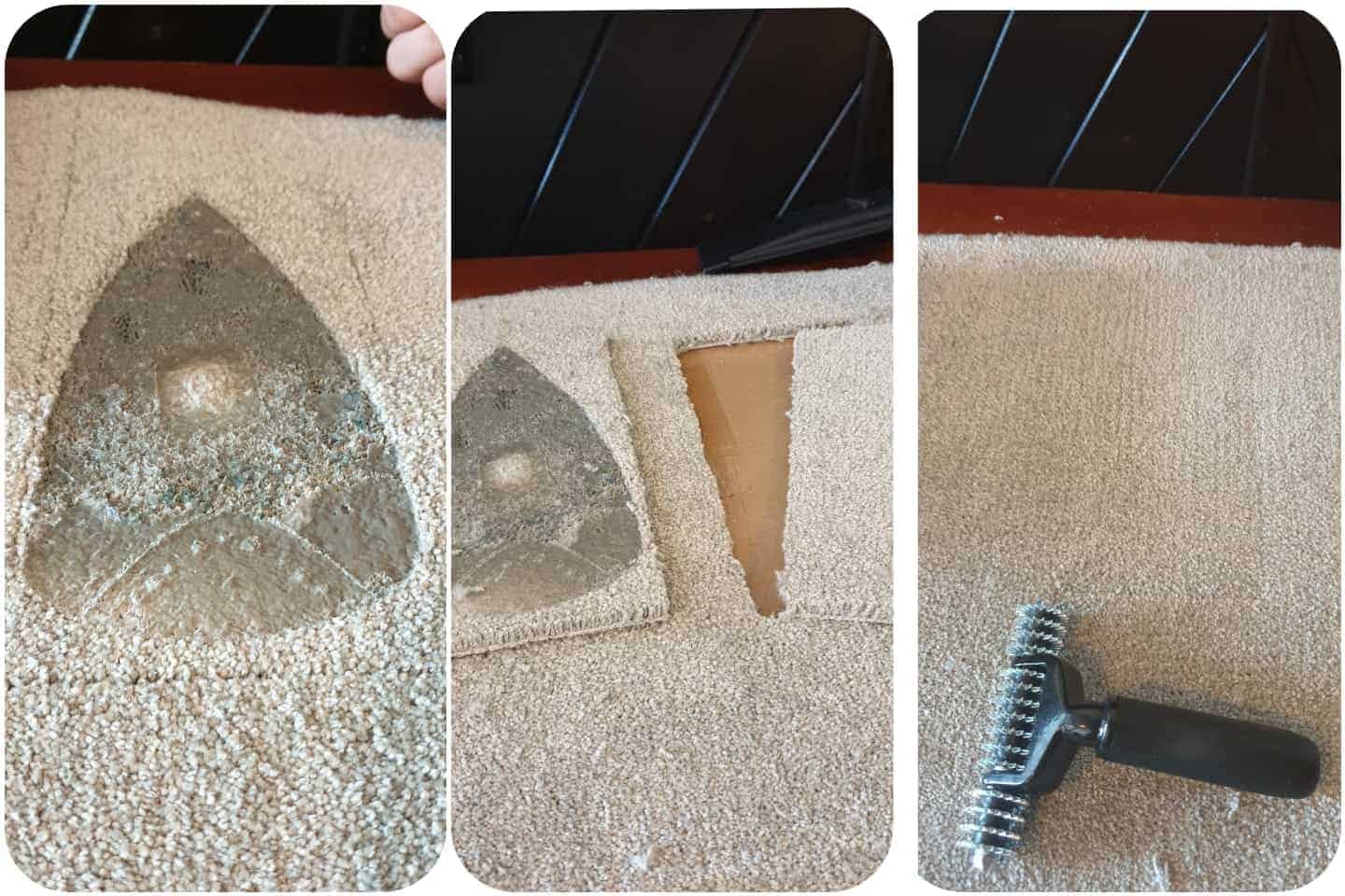 Exclusive Carpet Cleaning Packages – Affordable Rates Seasonal Specials