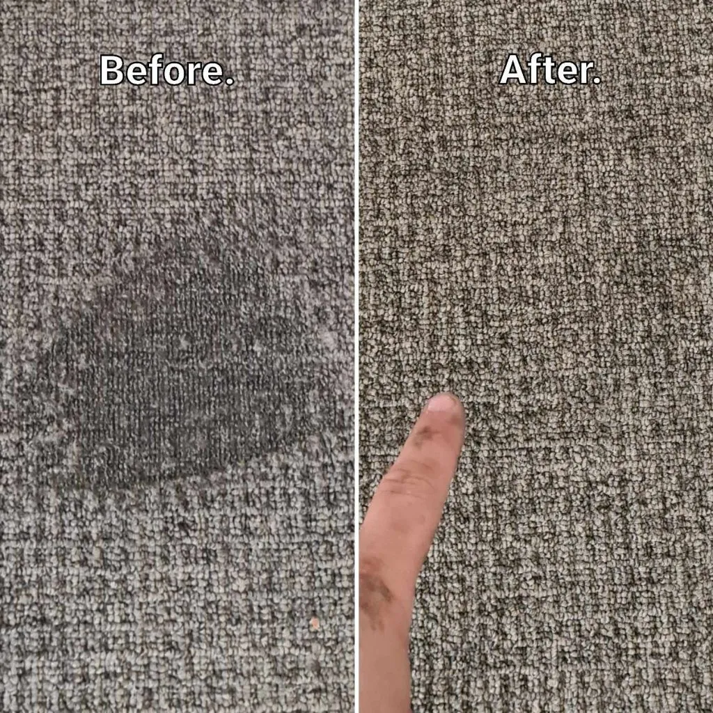 Pet Stain Odor Removal – Eco Friendly Carpet Cleaning