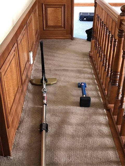Reliable Carpet Cleaning for Homes Offices Commercial Spaces