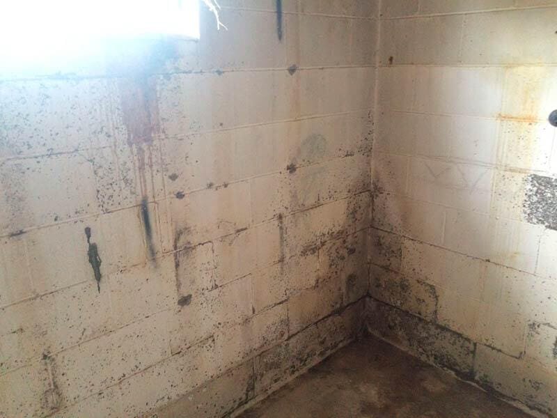 Water Damage Restoration Mold Remediation in Pueblo