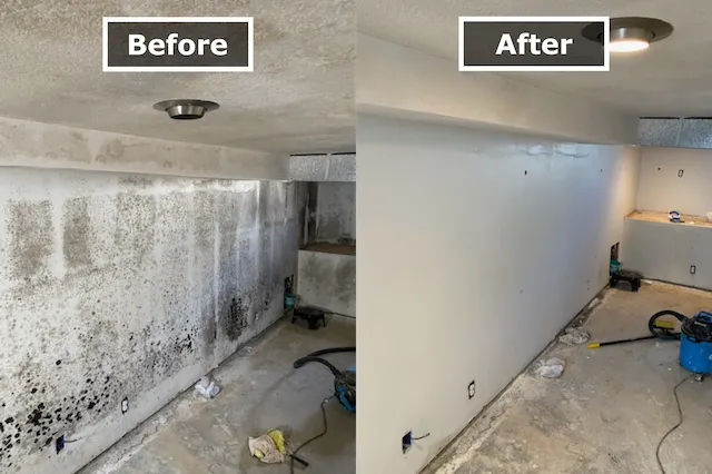 Why Manitou Springs Residents Trust Us for Their Cleaning Needs
