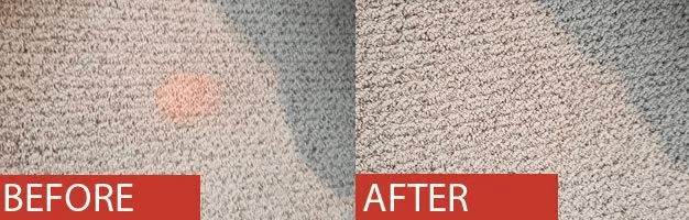 carpet cleaning